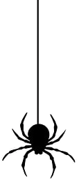 hanging spider